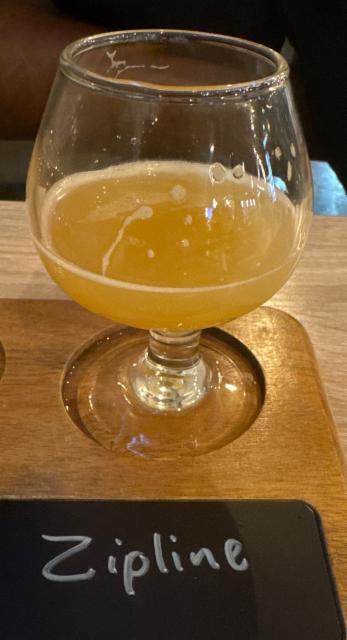 Only here for the zipline, Mast Landing Brewing Co.