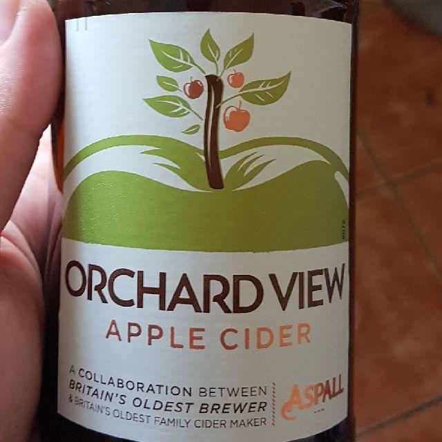 Orchard View Apple Cider 4.5%, Shepherd Neame, England