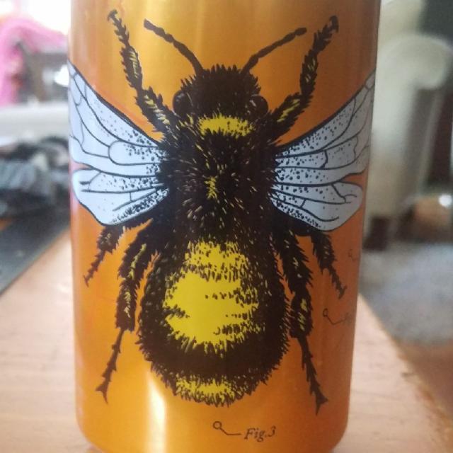 Organic Honey 4.5%, Dogwood Brewing, Canada