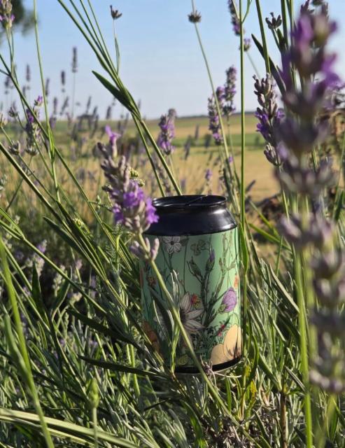 Origine 6.0%, Brew Yin, France