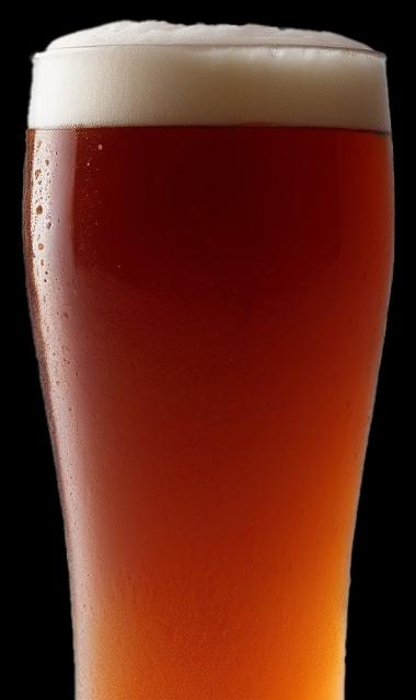 OSTMAN ALE 4.1%, Hopkins & Hopkins, Ireland