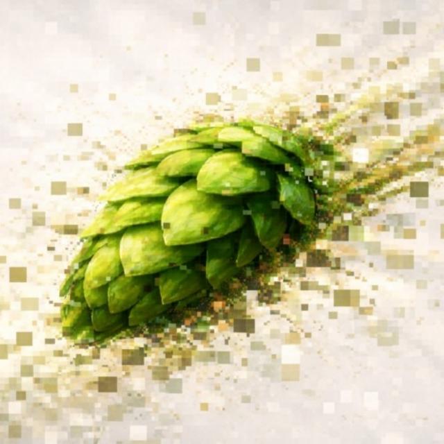 Overcompressed 7.4%, Zavod, Russia