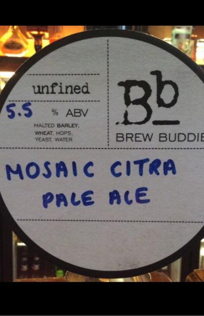 PA 05 Mosaic Citra Pale Ale 5.5%, Brew Buddies, England