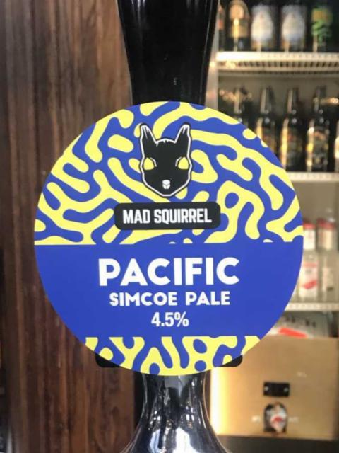 Pacific 4.5%, Mad Squirrel Brewing, England