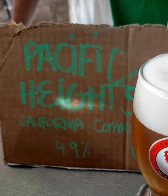 Pacific Heights 4.9%, Wicklow Wolf Brewing, Ireland