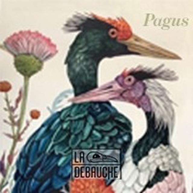 Pagus 6.0%, La Débauche, France