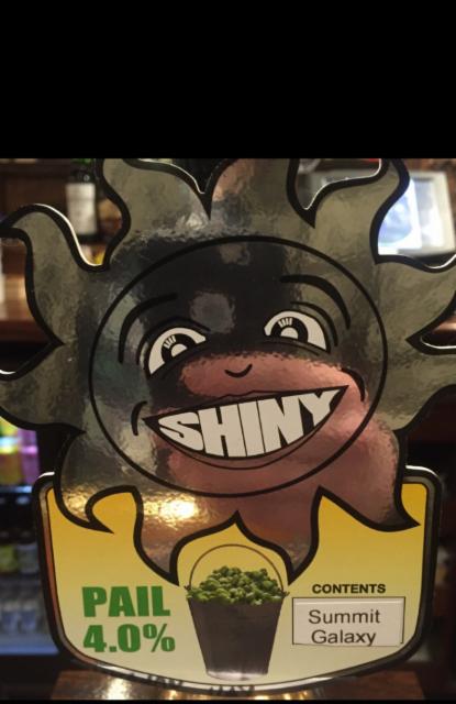 Pail: Summit Galaxy 4.0%, Shiny Brewing, England