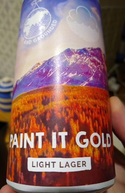 Paint It Gold 4.2%, Lost and Grounded Brewers, England