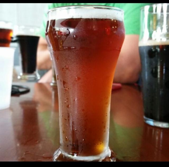 Palate Ryeot 5.6%, Mother Earth Brew Company, United States