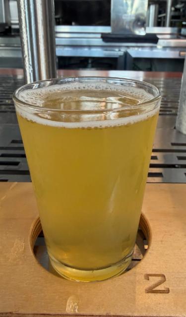 pale ale 4.7%, Shelter, Australia