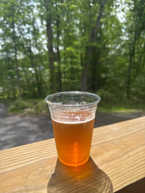 Pale ale 5.0%, Gad dam brewing, United States