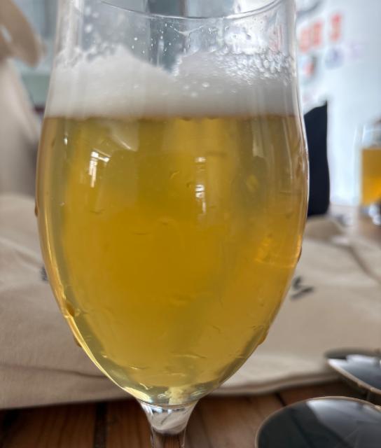 Paloma 4.6%, Oso Brew Co., Spain