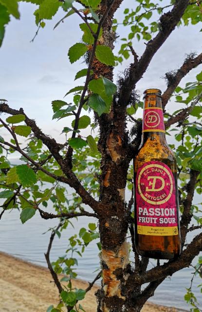 Passion Fruit Sour 4.6%, E.C. Dahls Bryggeri, Norway