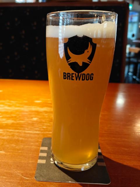 Patrons Project 49.01 // sandwich king // philly cheesesteak // ddh pale, Northern Monk Brew Co.