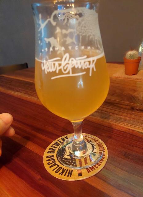 Paunović American Wit, Paunović