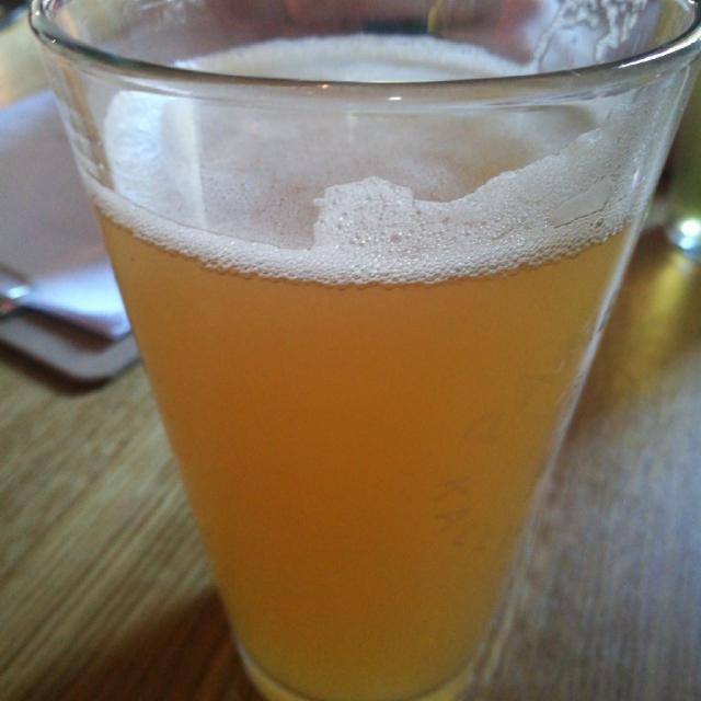 Pawtucket 5.0%, Panema Kallio, Finland