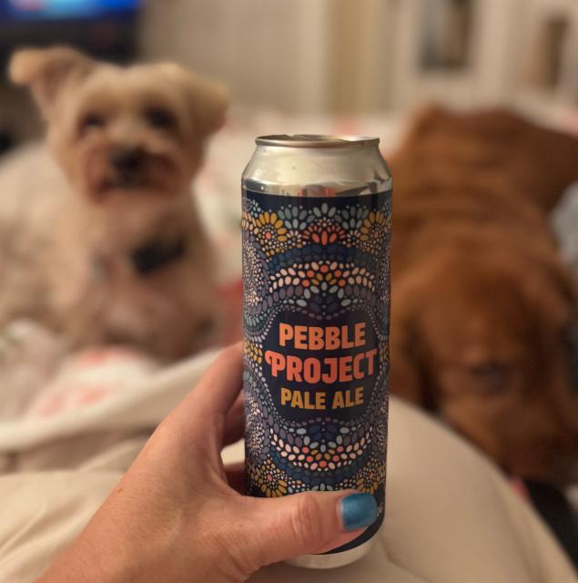 Pebble Project Pale Ale 5.2%, Discretion Brewing, United States