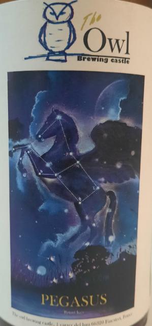 Pegasus 3.8%, The Owl Brewing Castle, France