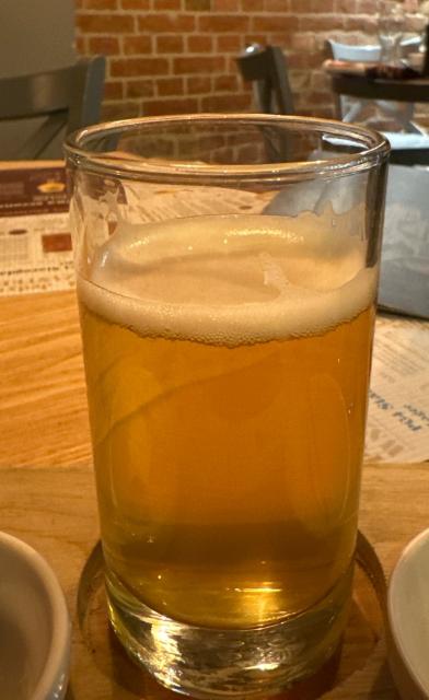 Pg4 Starogdaskie Lager 5.1%, Browar PG4, Poland