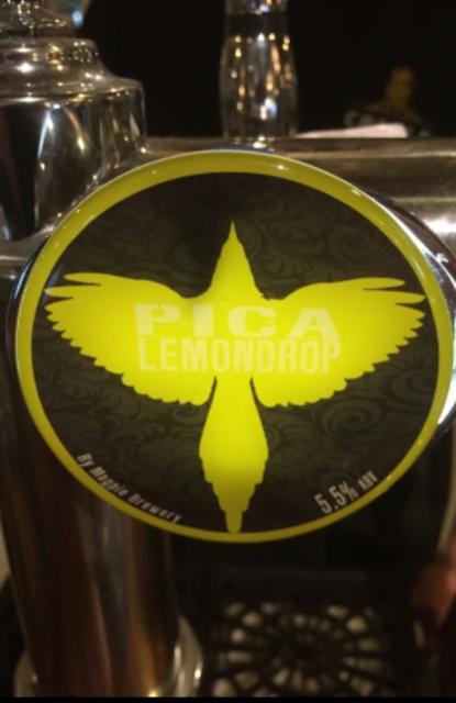 Pica Lemondrop 5.5%, Magpie Brewery, England