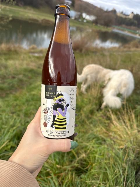 Pieśń pszczoły miodowo-propolisowe 4.5%, Browar Bałtów, Poland