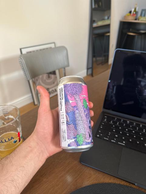 Pillars of mosaic 5.5%, Soquee Brewing, France