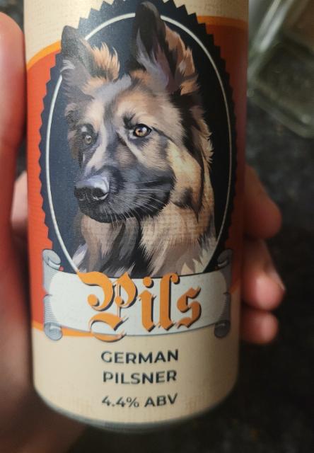 Pils German Pilsner 4.4%, S43, England
