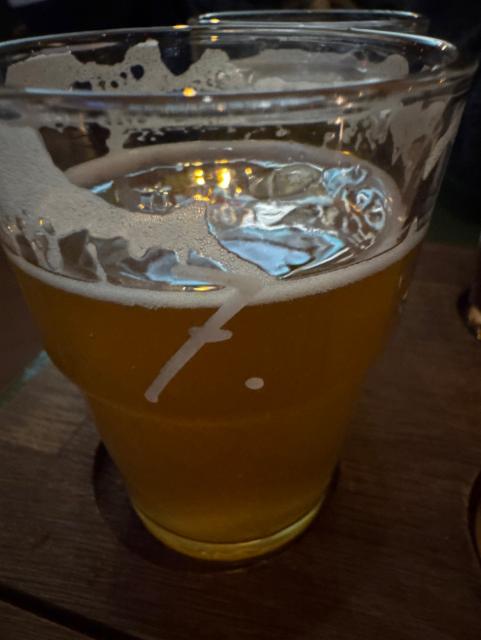 Pils Polo 5.0%, Gæðingur Öl Brugghús, Iceland