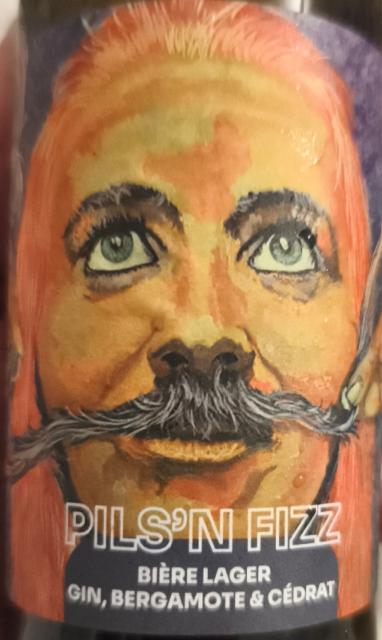 Pils'n Fizz 5.5%, Bière Des Bräu, France