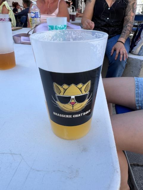 Pilsner Chat Roux 5.8%, Brasserie du Chat Roux, France