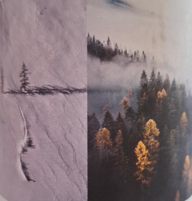 pine bud 5.6%, Weitam, France