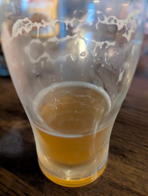 Pineapple IPA 5.1%, Fish Moon Brewing Company, United States