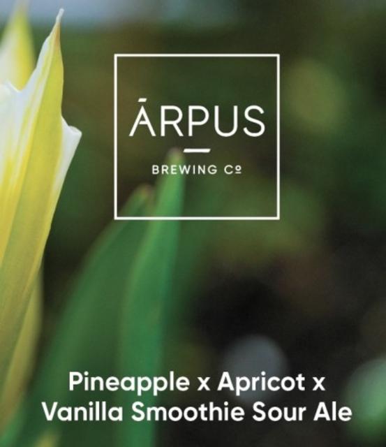 Pineapple x Apricot x Vanilla Smoothie Sour Ale 4.0%, Ārpus Brewing Co., Latvia