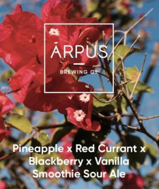Pineapple x Red Currant x Blackberry x Vanilla Smoothie Sour Ale 4.5%, Ārpus Brewing Co., Latvia