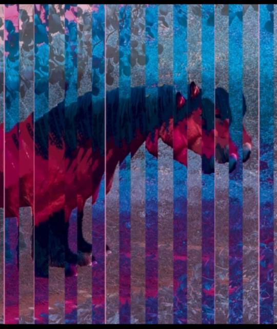 Pinkki Poni 7.0%, Tuletorn Brewing, Estonia