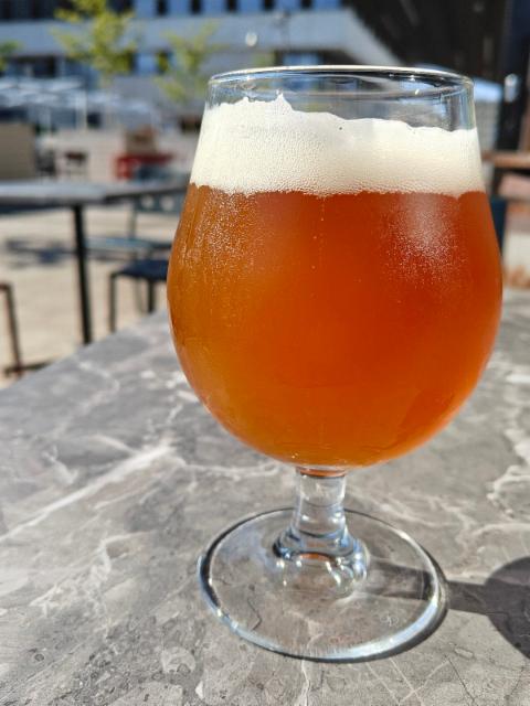 piper sanctum blond ale 7.7%, Brew-Pub Gallows Bird, Finland