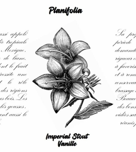 Planifolia 11.0%, Brasserie Du Grand Zig, France