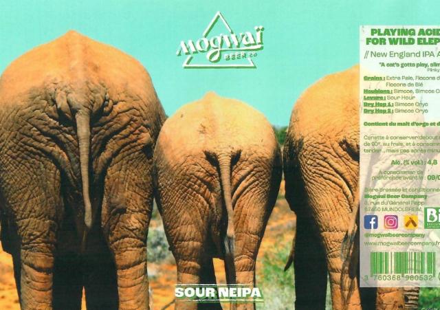Playing Acid Jazz For Wild Elephants 4.8%, Mogwaï Beer Company, France