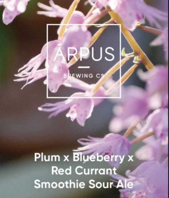Plum X Blueberry X Red Currant 4.5%, Ārpus Brewing Co., Latvia