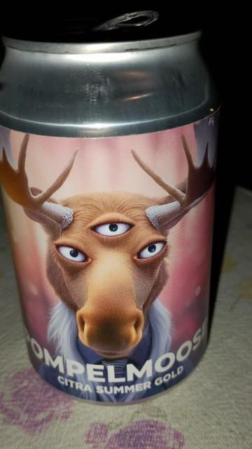 pompelmoose 6.2%, De mortselarij, Belgium