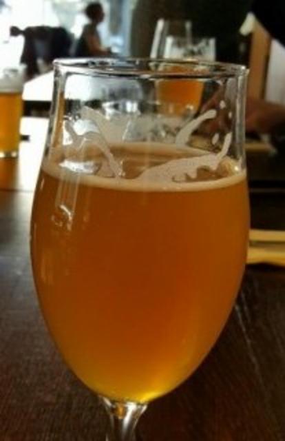 Pönde 6.8%, Maku Brewing, Finland