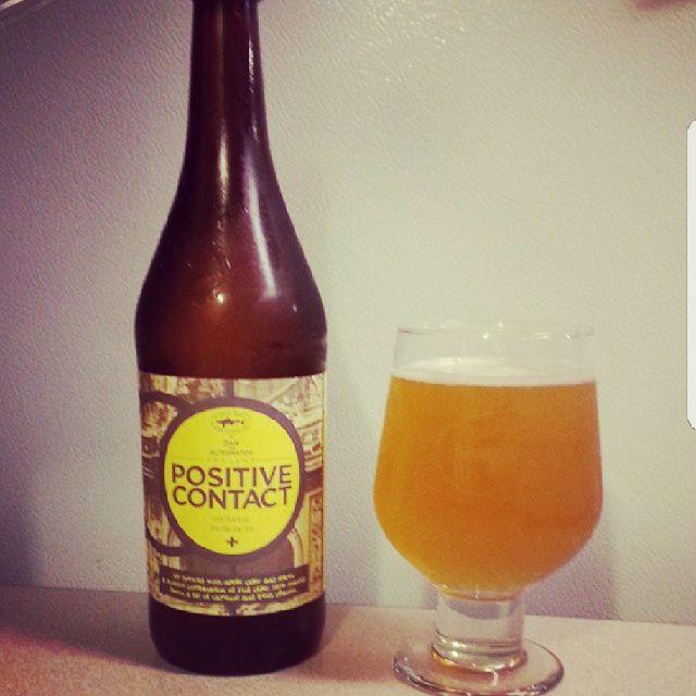 Positive Contact 9.0%, Dogfish Head Craft Brewery, United States