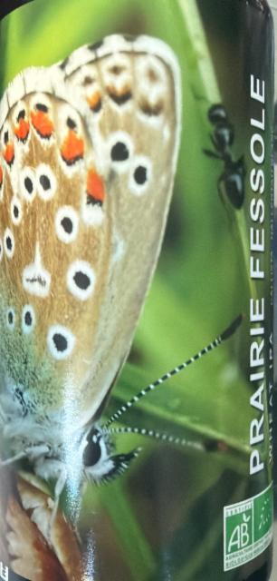 Prairie fessole, Brasserie Tetras Byre