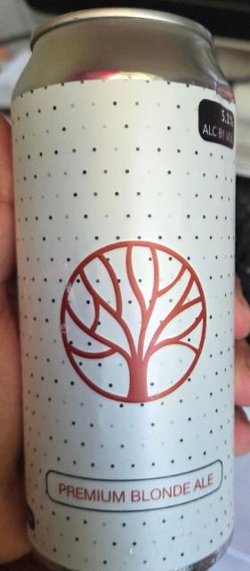 premium blonde ale 5.1%, Bad Dad Brewing Co., United States