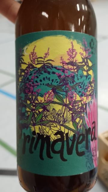 Primavera L'Audac 4.9%, La Somniada Coop. Cerveceria L'Audac, Germany