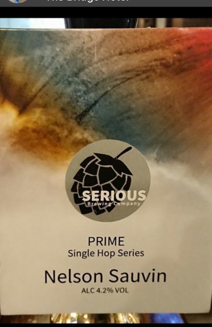 Prime - Nelson Sauvin 4.2%, Serious Brewing Co Ltd, England