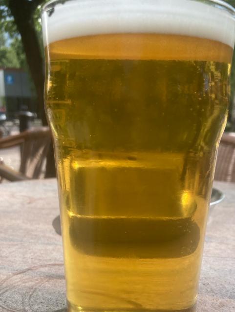 Prime 6.8%, Moon Lark Brewery, Poland