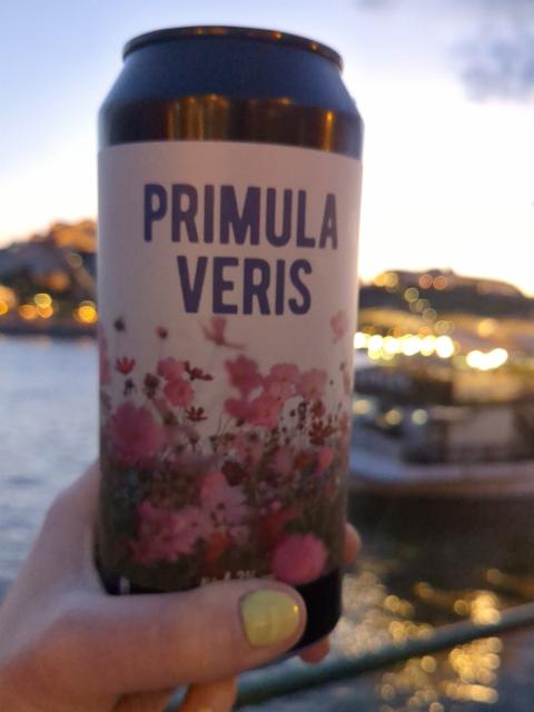Primula Veris, Reketye Brewing Co.