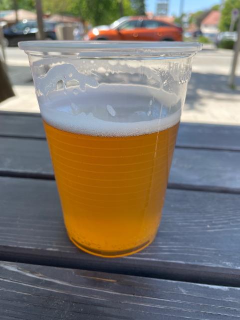 Prinz von Sachsen Helles 4.9%, Prinz von Sachsen, Germany