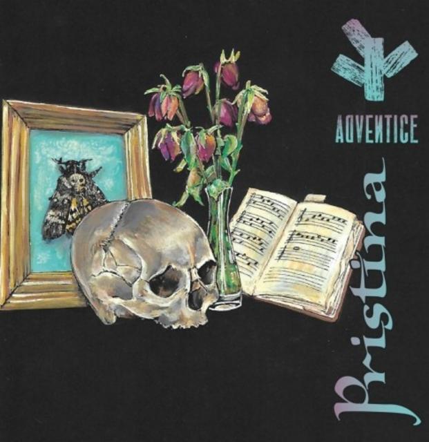 Pristina, Adventice BrewPub - Baragouin